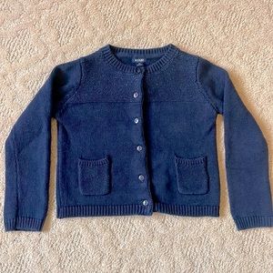 🦋 French Navy Shimmer Sweater